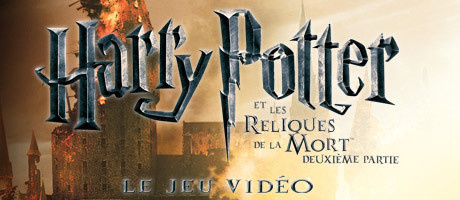 Image de Harry Potter et les Reliques de la Mort - Première Partie