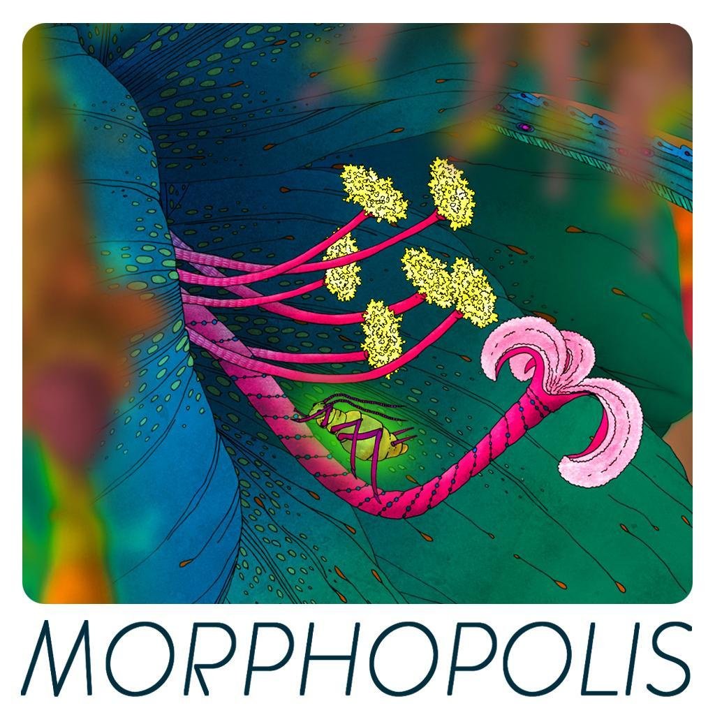 Image de Morphopolis