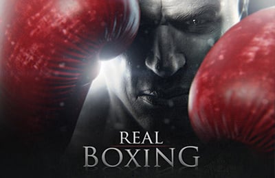 Image de Real Boxing
