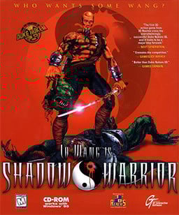Image de Shadow Warrior