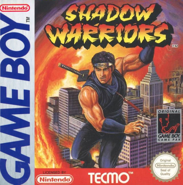 Image de Shadow Warriors