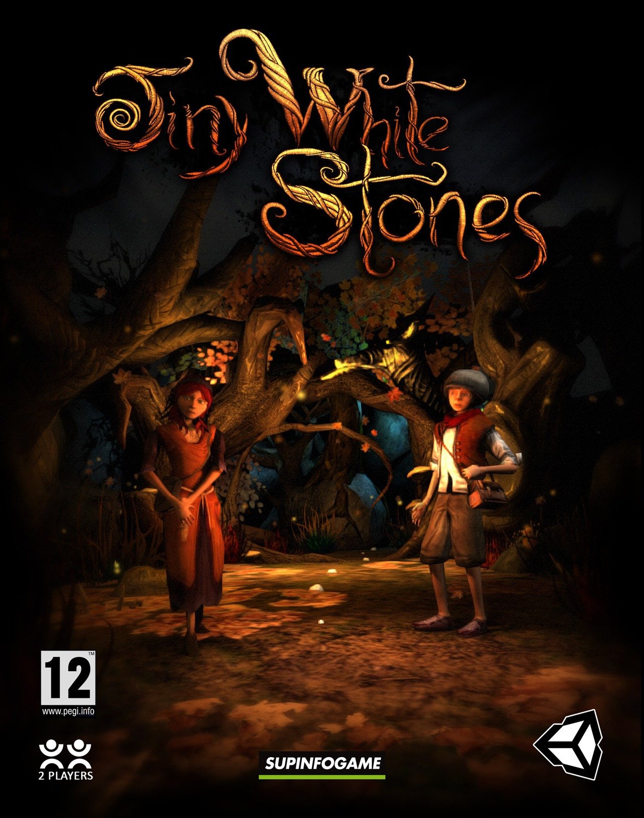 Image de Tiny White Stones