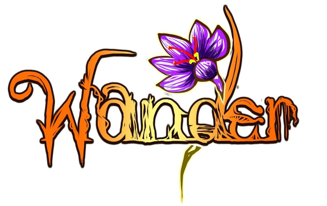 Jaquette de Wander