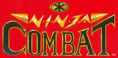 Image de Ninja Combat