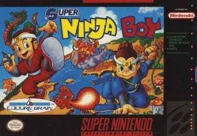 Image de Super Ninja Boy