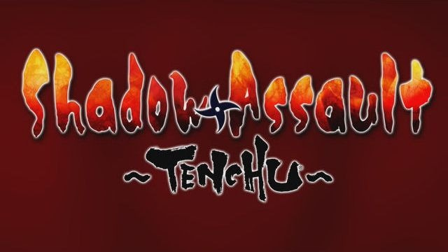 Image de Shadow Assault/Tenchu