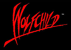 Jaquette de Wolfchild